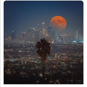 Meet your Posher, Tanner